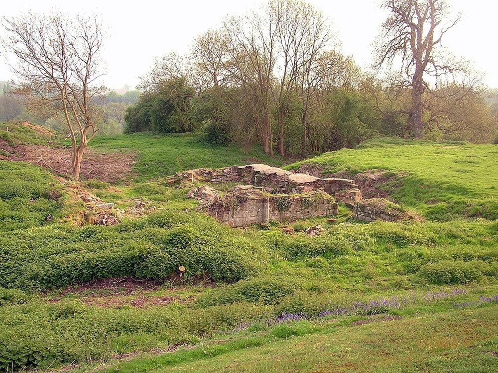 Bagot's Castle, Warwickshire