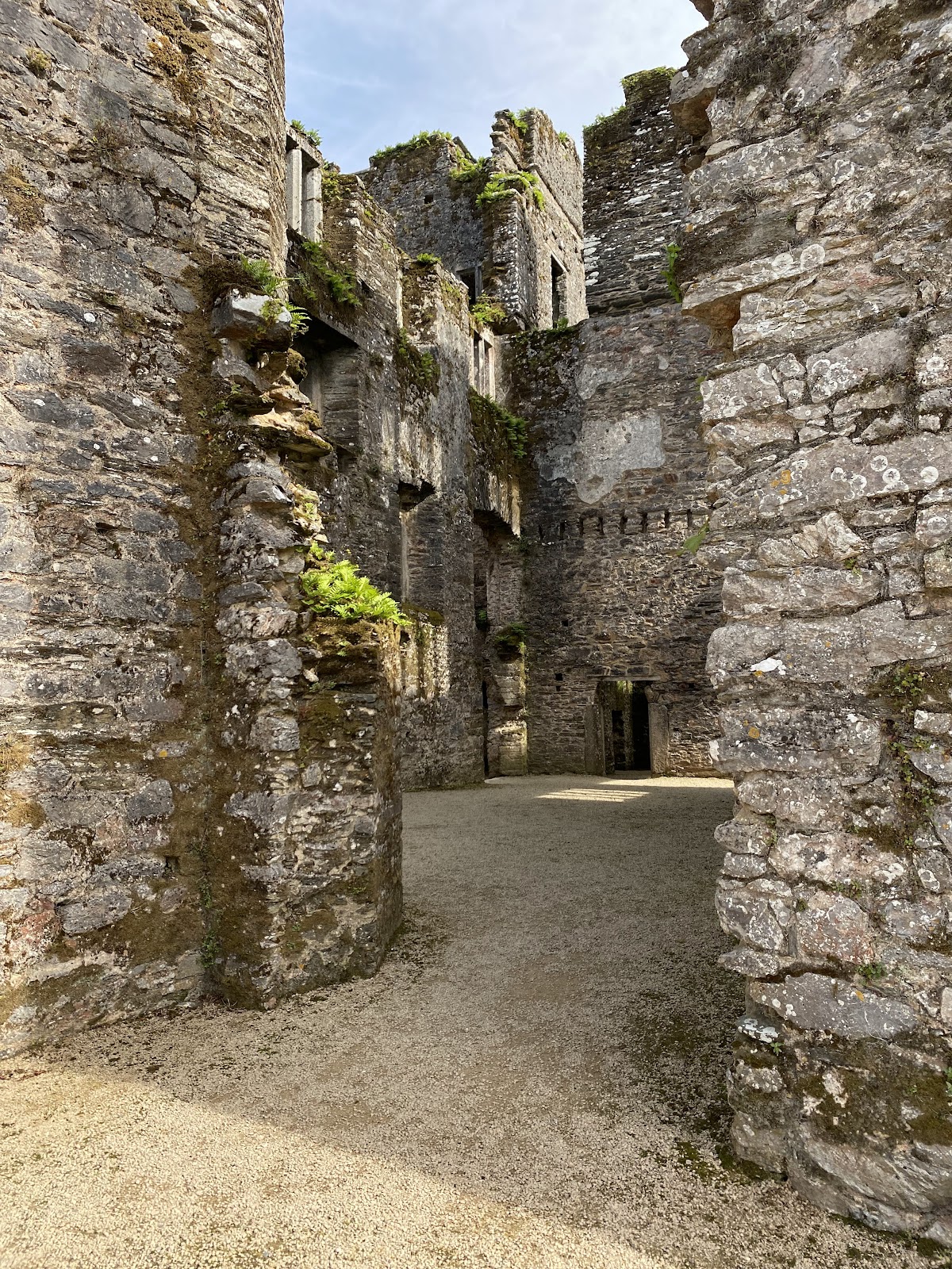 Berry Pomeroy Castle, further view