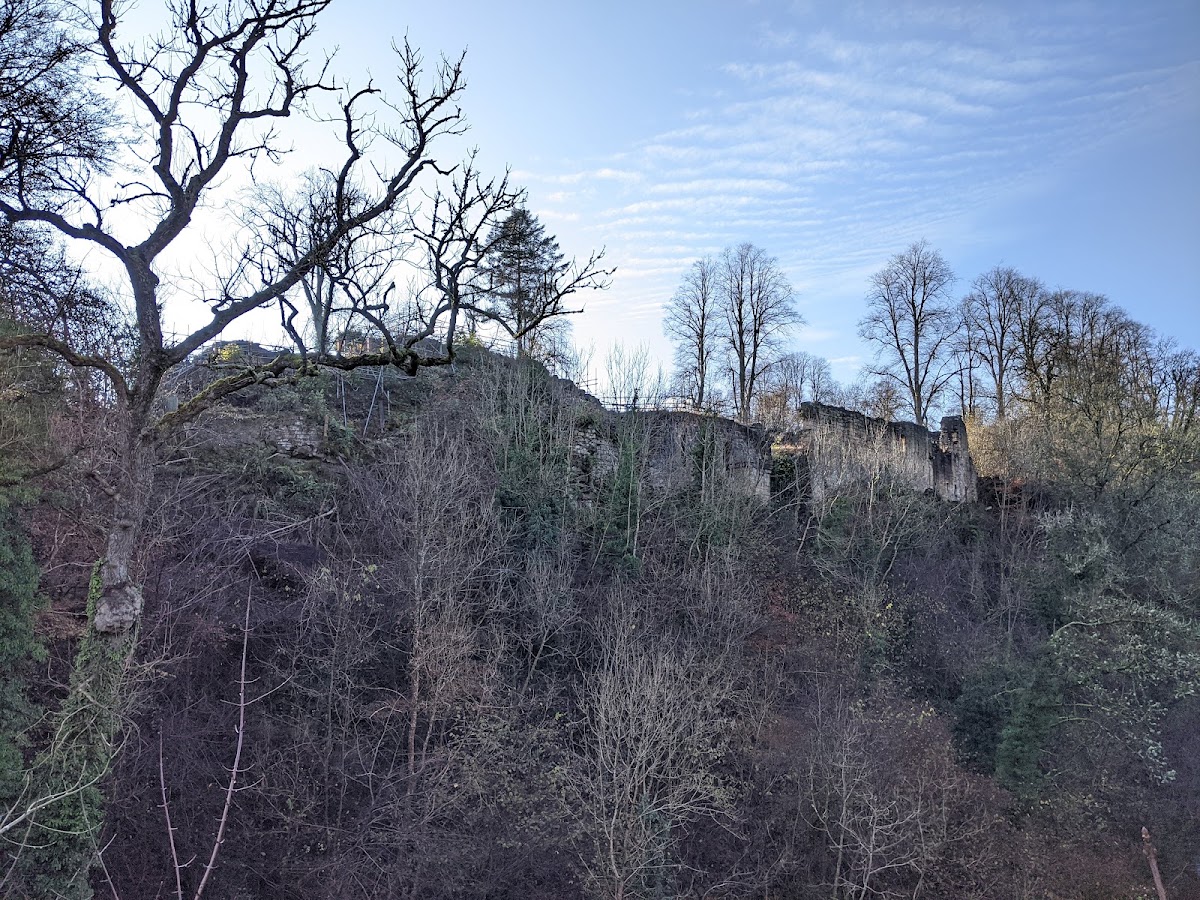 Cadzow Castle, further view
