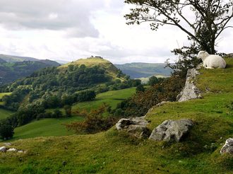 Castell Dinas Bran, Denbighshire - second view