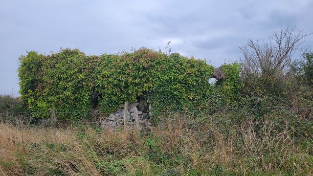 Daw's Castle