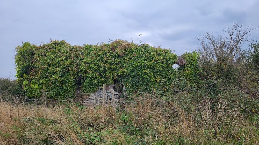 Daw's Castle