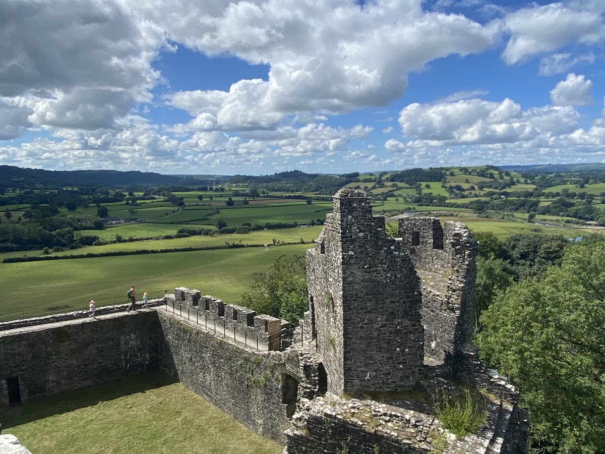 Dinefwr Castle, further view