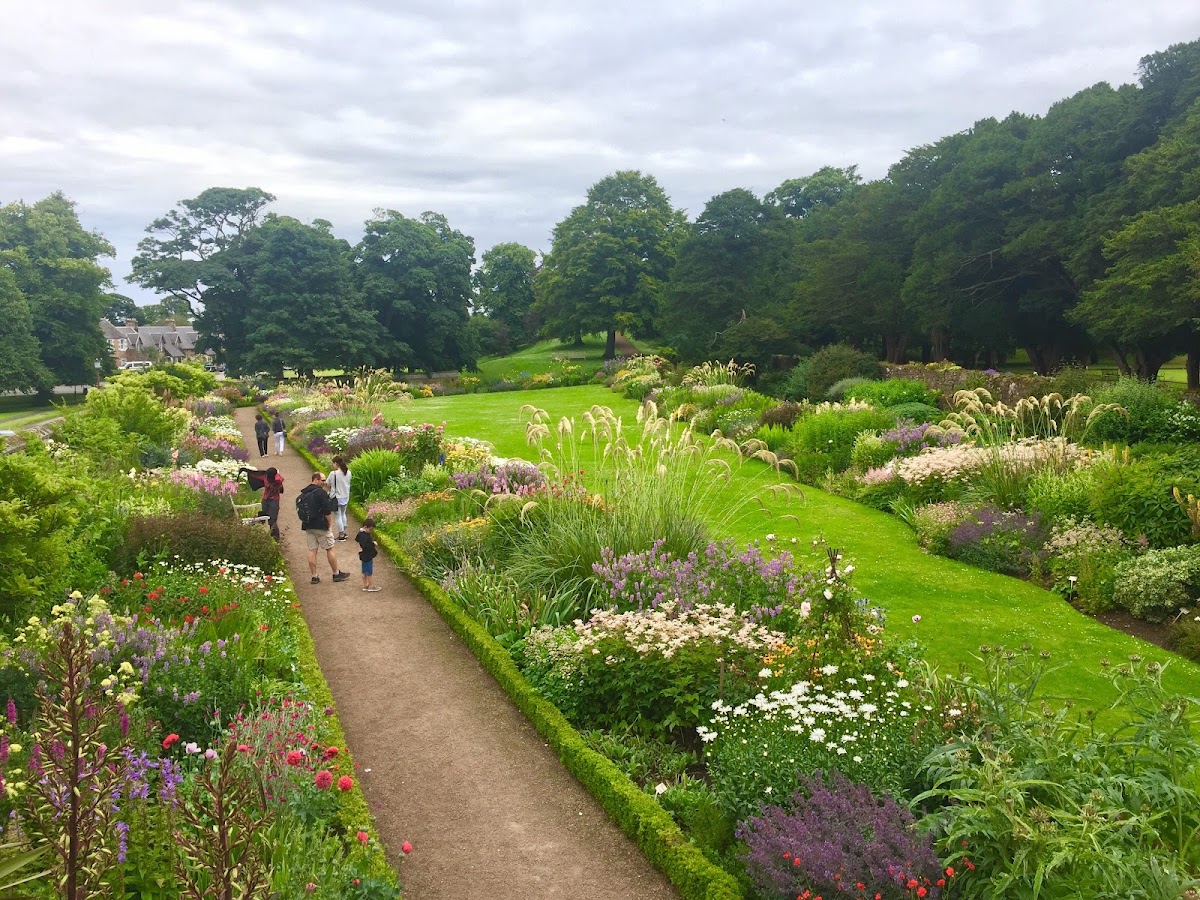 Dirleton Castle, further view