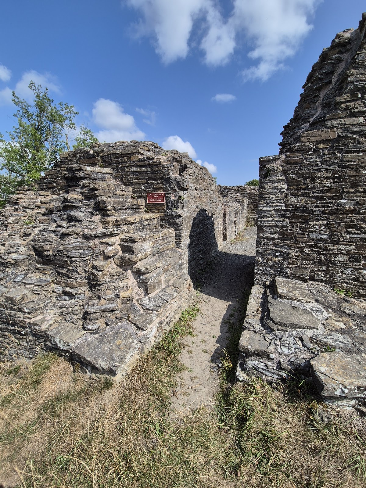 Dolforwyn Castle