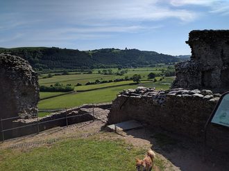 Dryslwyn Castle, Carmarthenshire - third view