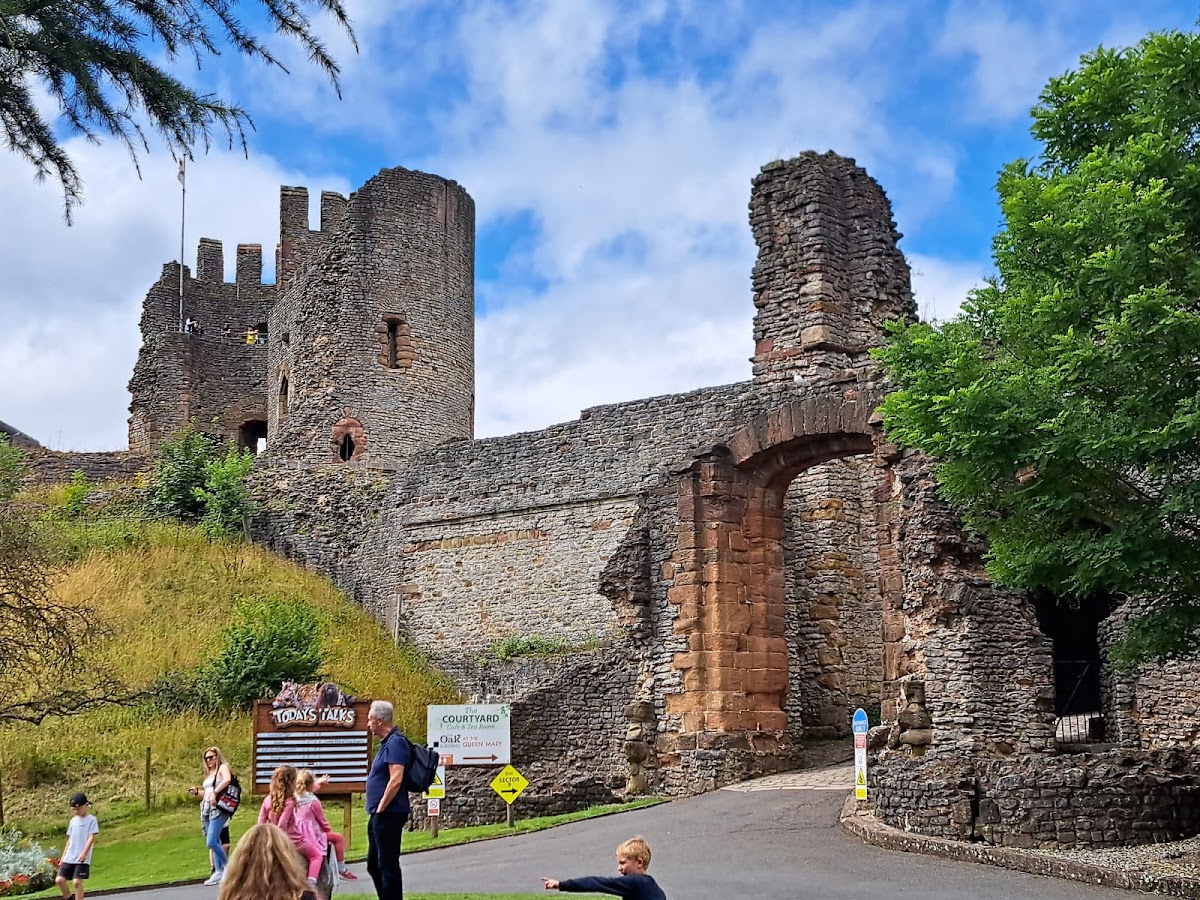 Dudley Castle, further view