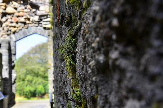 Lydford Castle and Saxon Town, Devon - third view