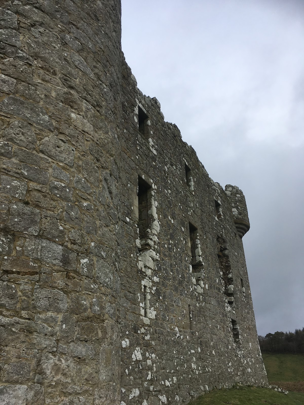 Monea Castle, further view