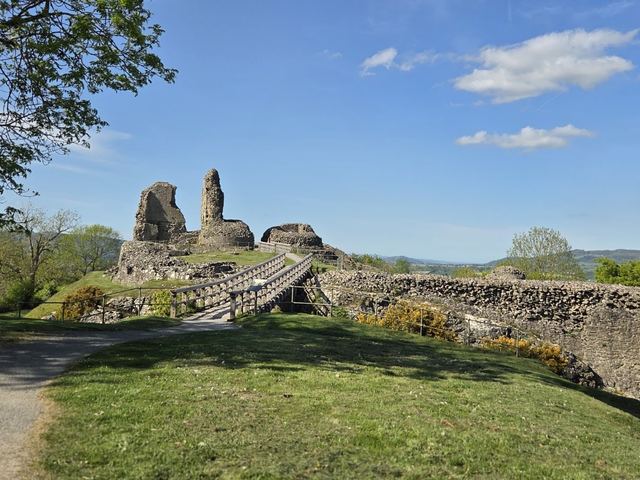 Montgomery Castle