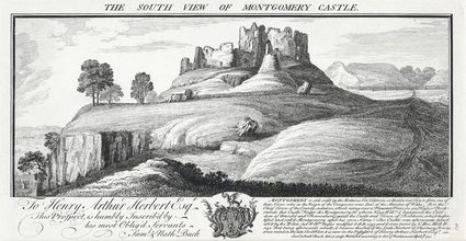 Montgomery Castle, Powys - third view