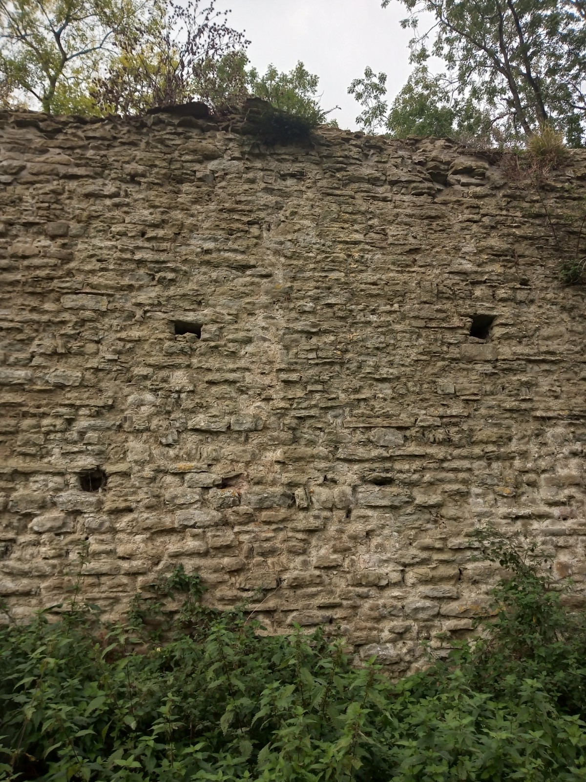 Richard's Castle, further view