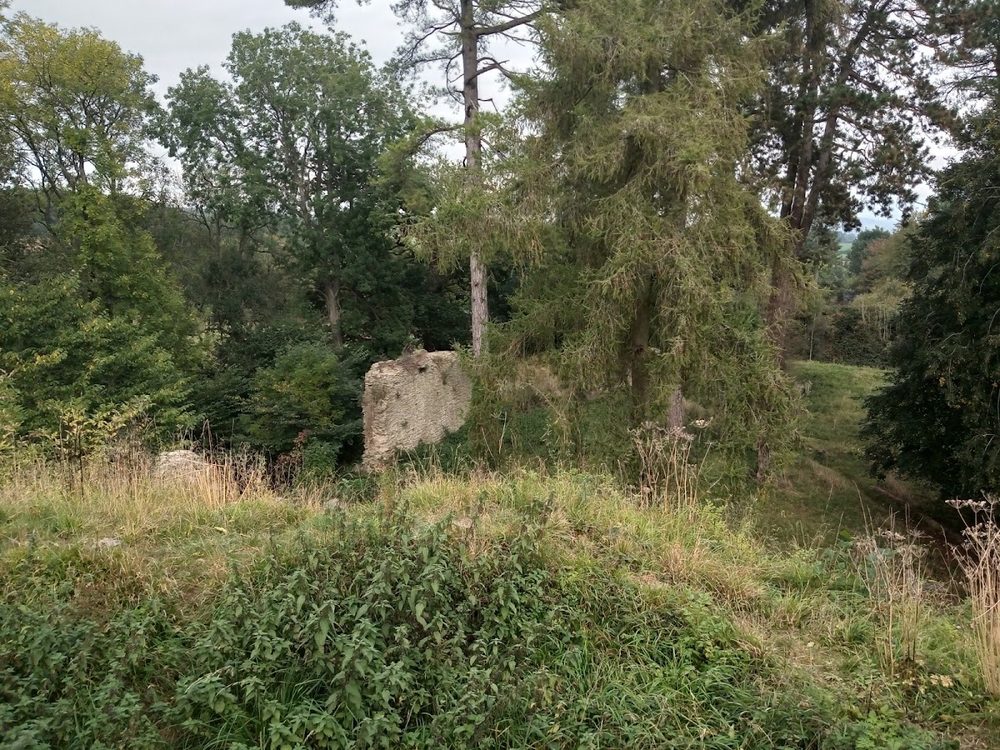 Richard's Castle, Herefordshire